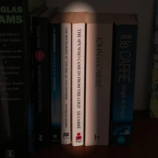 The Spy Who Came in from the Cold