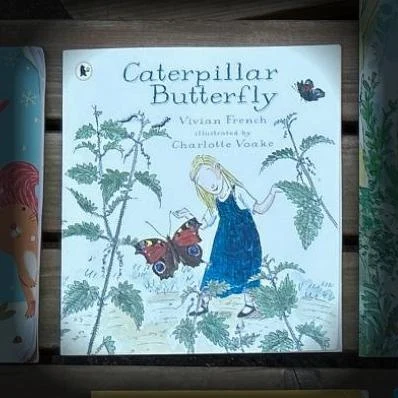 Caterpillar Butterfly