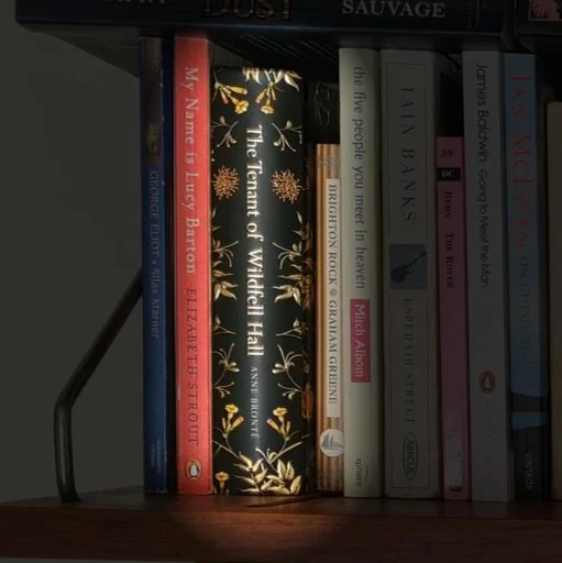 The Tenant of Wildfell Hall