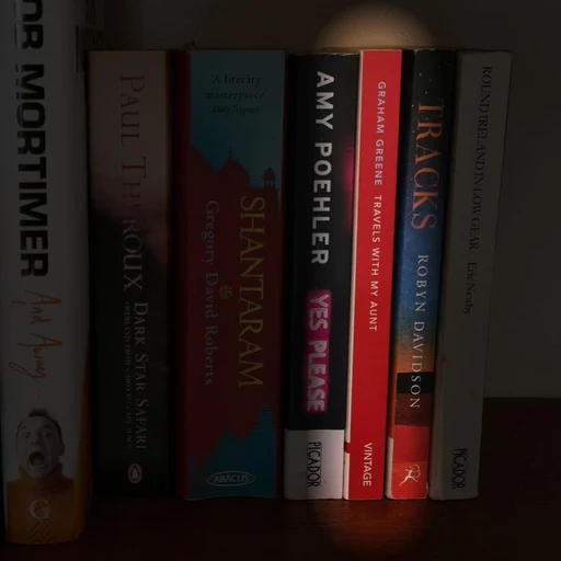 Travels with My Aunt