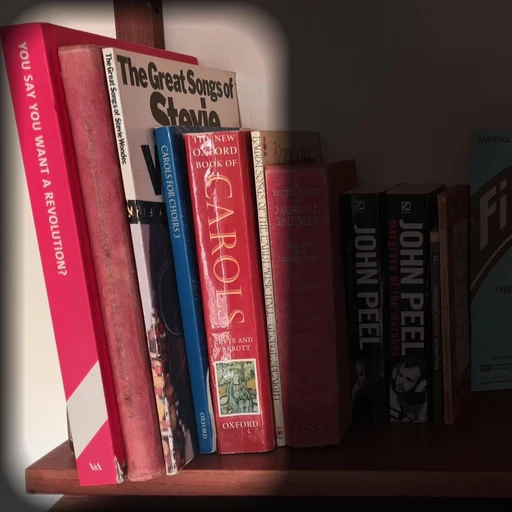 You Say You Want a Revolution? & The Great Songs of Stevie Wonder