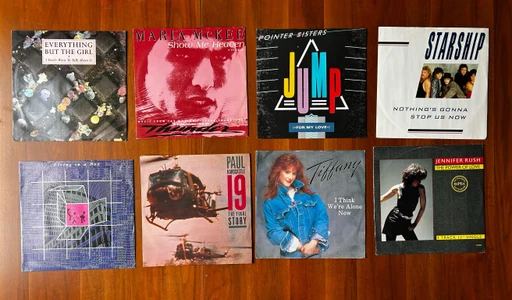 Collection of Second-Hand Music Albums and Singles