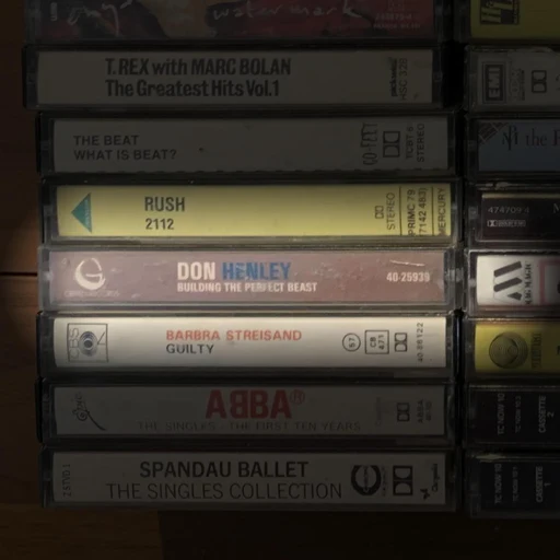 Don Henley - Building the Perfect Beast