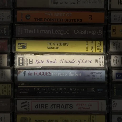 Hounds of Love by Kate Bush