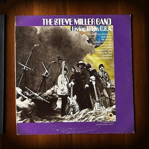 Living In The U.S.A.