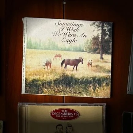 Sometimes I Wish We Were An Eagle