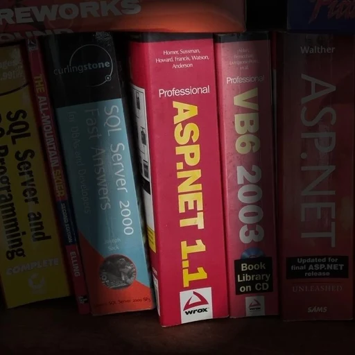 Professional ASP.NET 1.1